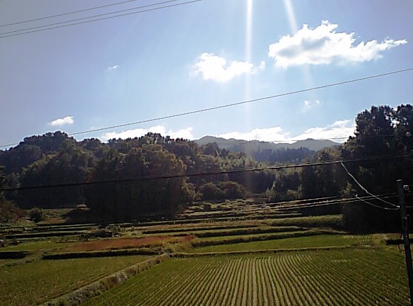d0125059_1137466.jpg