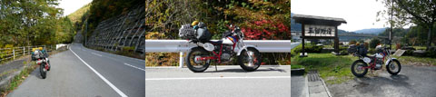 a0083760_6583637.jpg
