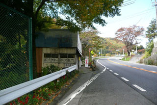 a0083760_72445.jpg
