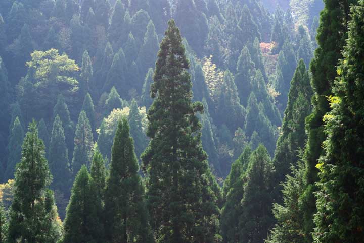 e0019563_05560.jpg