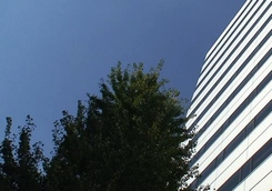 d0083265_2146857.jpg