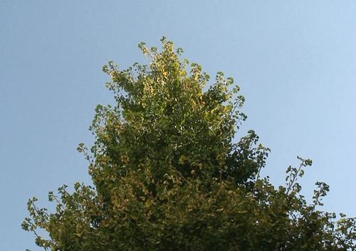 d0083265_21473491.jpg