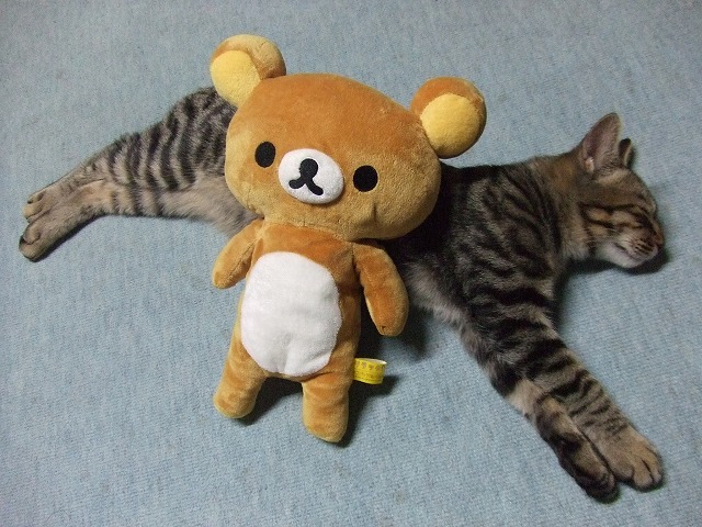 c0048667_0185092.jpg