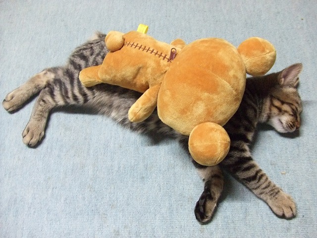 c0048667_0243646.jpg