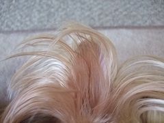e0120072_0513018.jpg