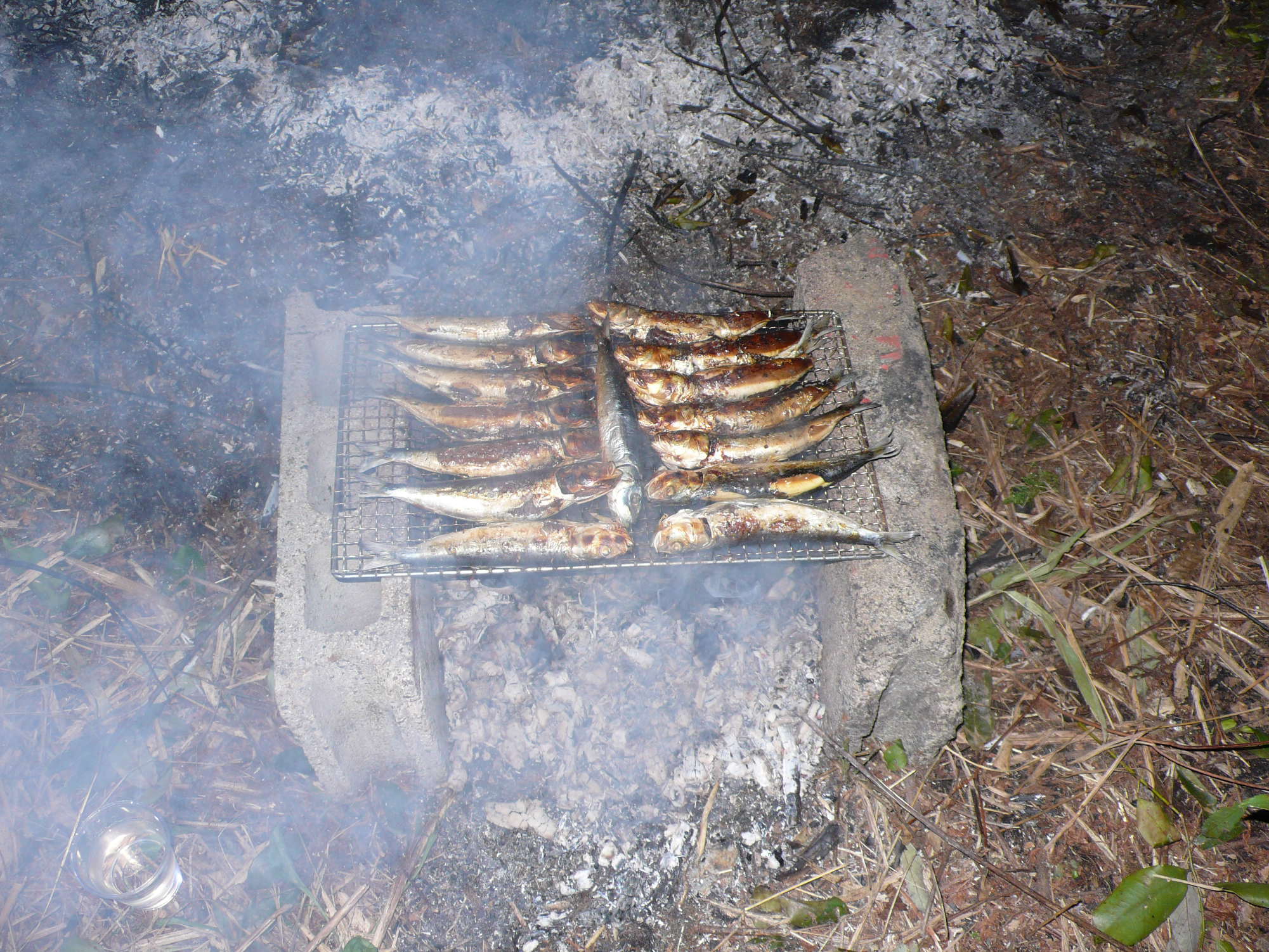 e0083773_1121036.jpg