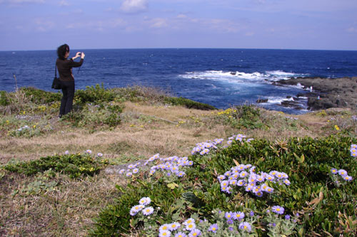 e0064375_74116.jpg