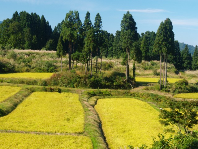 a0025576_22115549.jpg