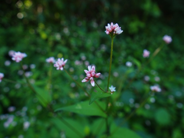 a0025576_2213663.jpg