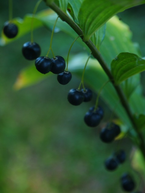a0025576_22153312.jpg