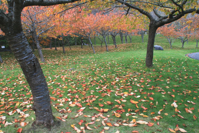 c0112479_21301244.jpg