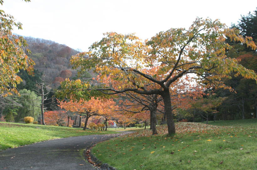 c0112479_8334397.jpg