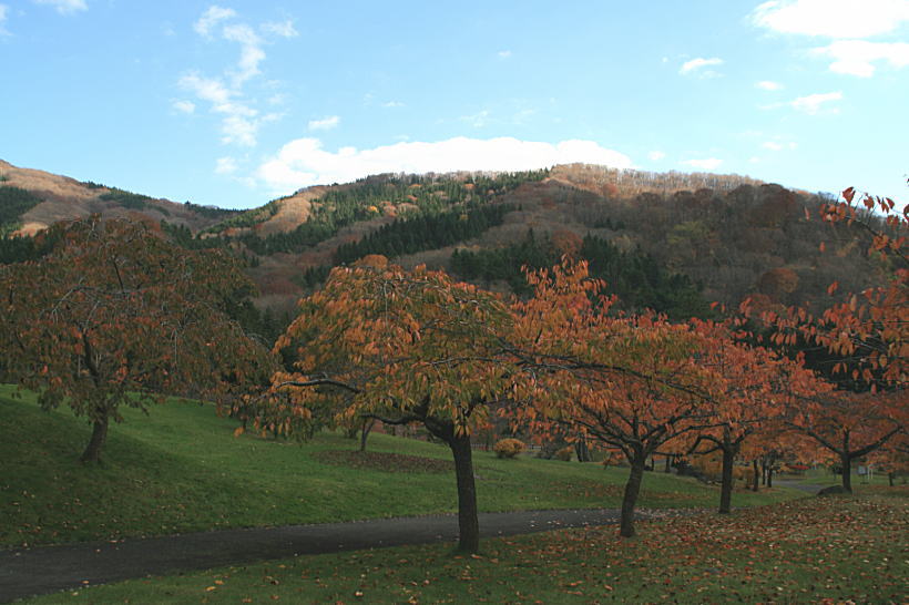 c0112479_8341798.jpg