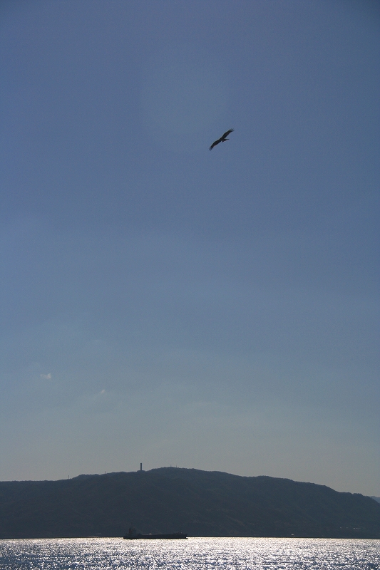 e0024081_1832623.jpg