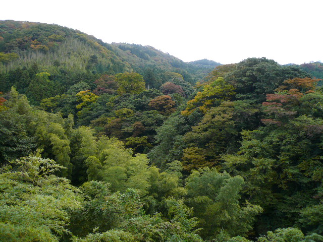 d0120282_18421916.jpg