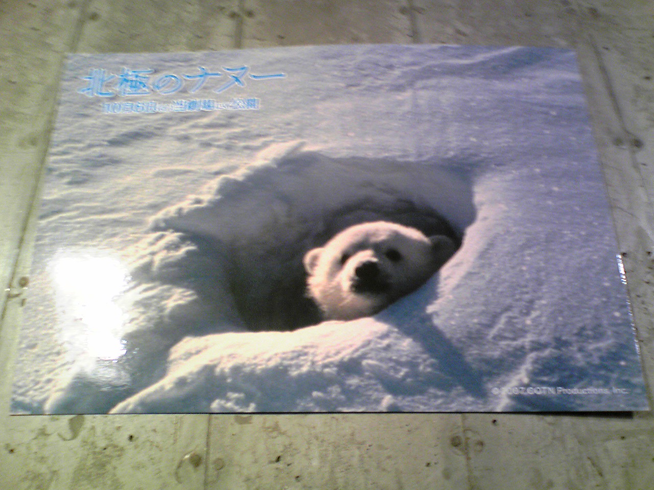 d0015489_22474733.jpg