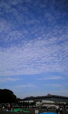 c0052091_19475840.jpg