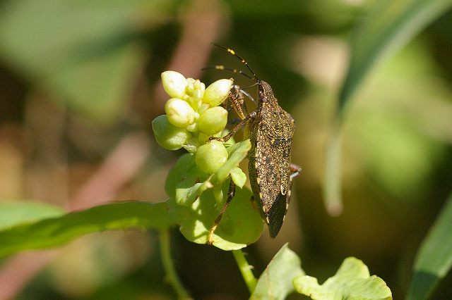 e0070891_205167.jpg