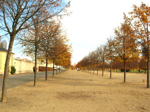 c0090198_2111292.jpg