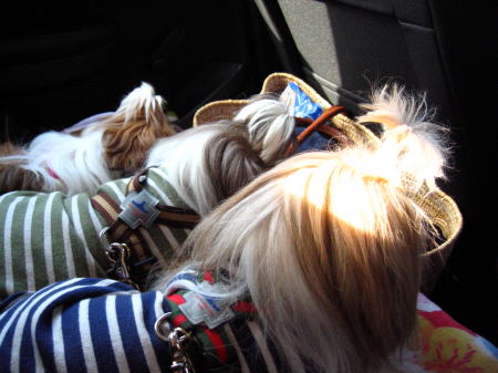 c0090198_2302268.jpg
