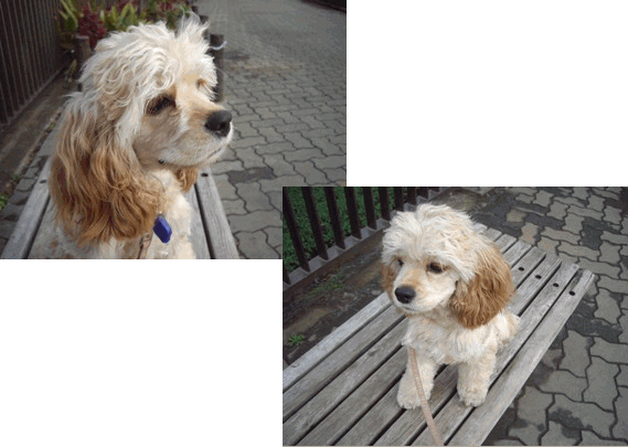 c0128303_0372775.gif