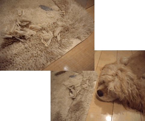 c0128303_0432581.gif