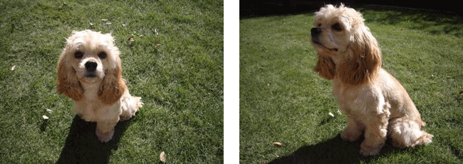 c0128303_0511020.gif