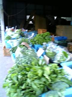 e0126009_148577.jpg