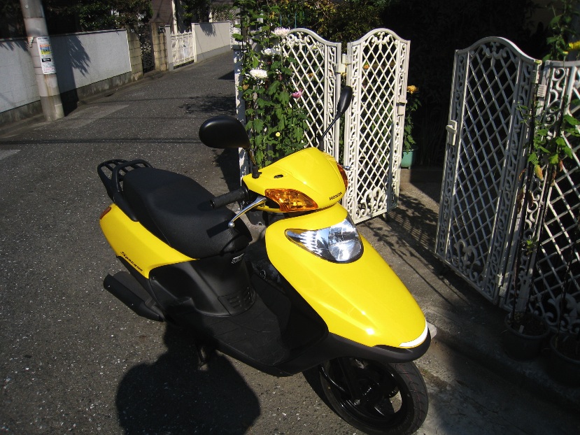 冬支度_f0141609_19295465.jpg
