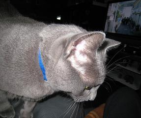 c0066610_20591122.jpg