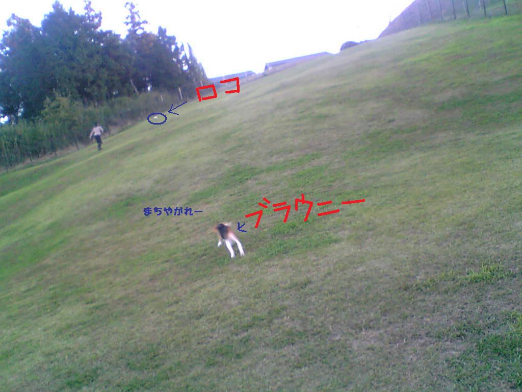 d0128210_064291.jpg