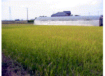 e0115811_23554059.gif