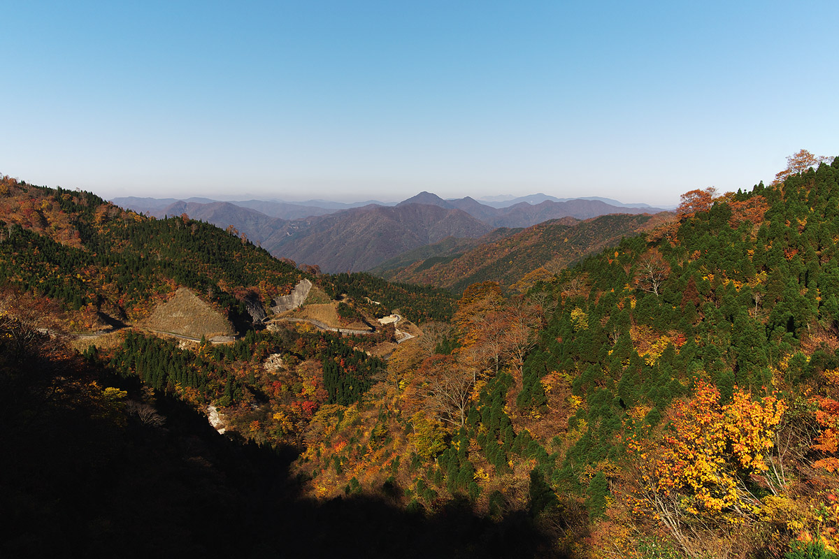 c0115616_5411732.jpg