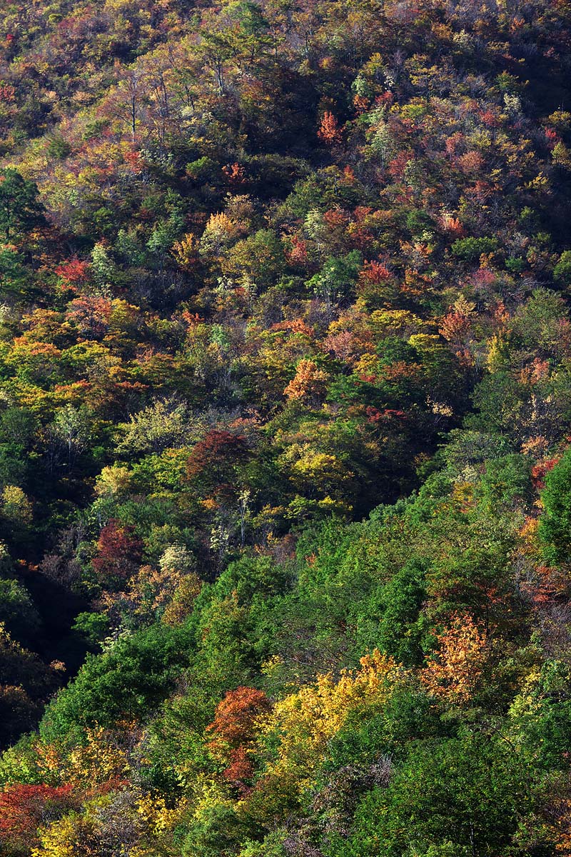 c0115616_5473350.jpg