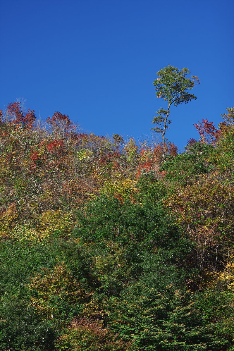 c0115616_5474399.jpg