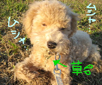 c0060920_1465567.jpg