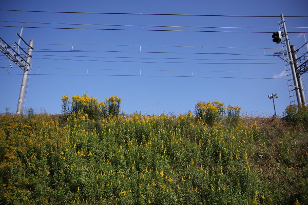 f0077521_195128100.jpg
