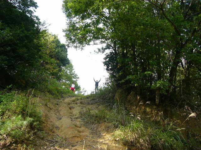 f0117723_08381.jpg