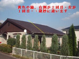 f0031037_1963512.jpg