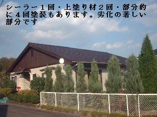 f0031037_197671.jpg