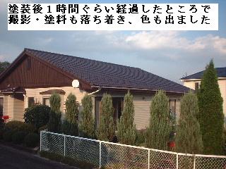 f0031037_198213.jpg