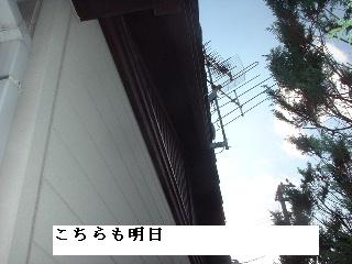 f0031037_198315.jpg