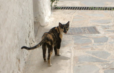 d0098941_4284733.jpg