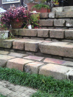 f0088647_81911100.jpg