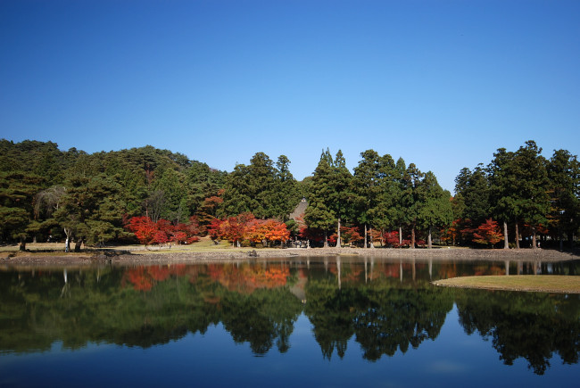 秋の大泉が池（平泉）_d0094150_081458.jpg