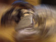 d0029958_1891646.jpg