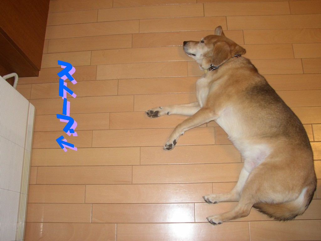 f0066862_2352136.jpg