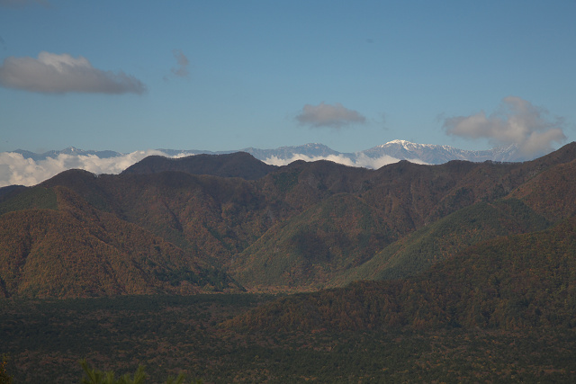 c0057265_8241155.jpg