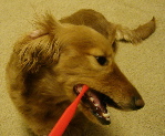 f0089568_10213983.jpg