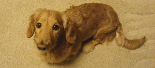 f0089568_10224971.jpg